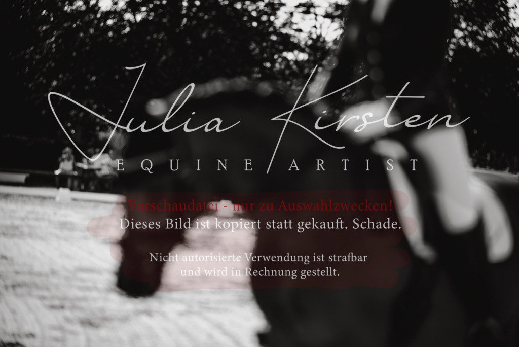 DSC_0400 | Pferde- und Turnierfotografie in Westsachsen. Pferdeportraits, Auftragszeichnungen und intuitive Kunst.