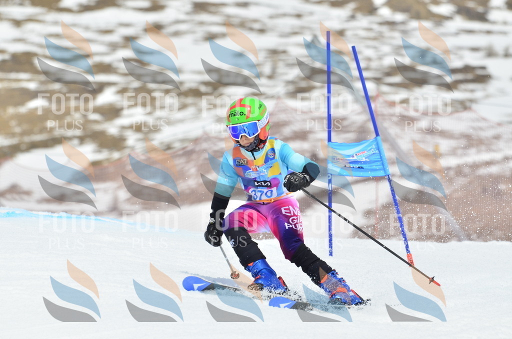 _ELE3015 | holidayphoto