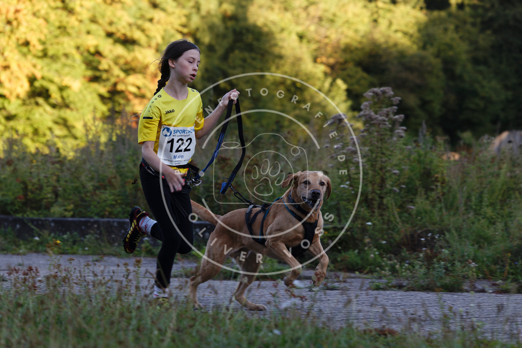 0L8A4309 | Hundefotografie, Tierfotograf, Pfotenfotografie, Fotoshooting Hund, Hunde Portrait, Hundesport, Hundeportraits, Heideshooting, Hunde, Sportfotograf, Hundefotograf, Turnierhundsport, THS,  - Realisiert mit Pictrs.com