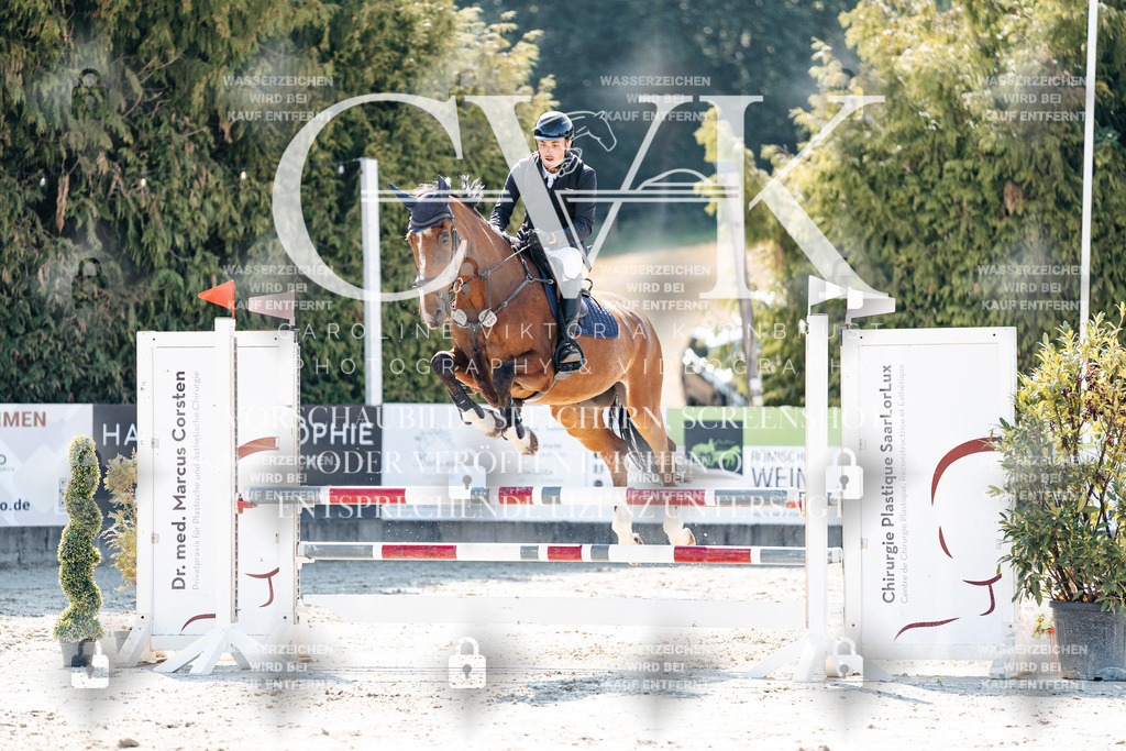 CK908079 | Turnierfotografie Pferdefotografie Trier Rheinland-Pfalz Pferdesport Reitsport Tierfotografie Sportfotografie Pferdevideo Pferdevideografie Equestrianvideography equestrianphotography  - Realisiert mit Pictrs.com