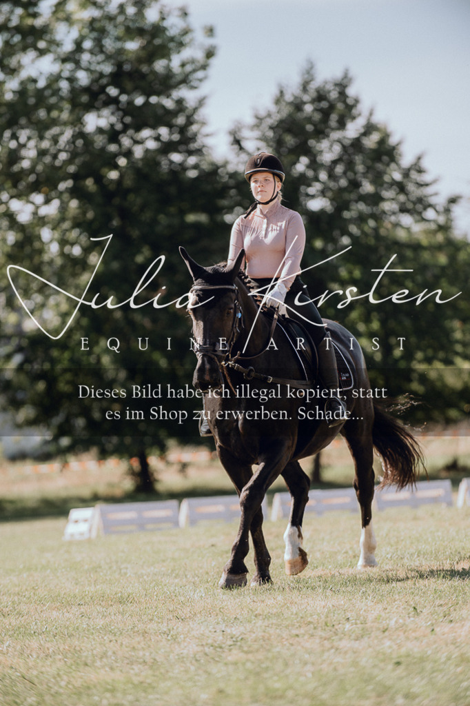 DSC_7046 | Pferde- und Turnierfotografie in Westsachsen. Pferdeportraits, Auftragszeichnungen und intuitive Kunst.