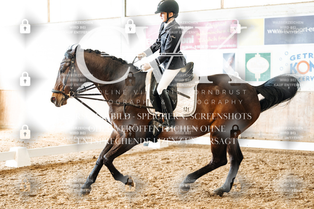CK900216 | Turnierfotografie Pferdefotografie Trier Rheinland-Pfalz Pferdesport Reitsport Tierfotografie Sportfotografie Pferdevideo Pferdevideografie Equestrianvideography equestrianphotography  - Realized with Pictrs.com
