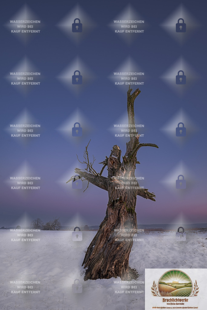 Wintergegendämmerung | Professioneller Fotograf mit 10 Jahren Erfahrung. Landschafts- und Hochzeitsfotografie im Oderbruch. Workshops und beeindruckende Bilder für besondere Momente.