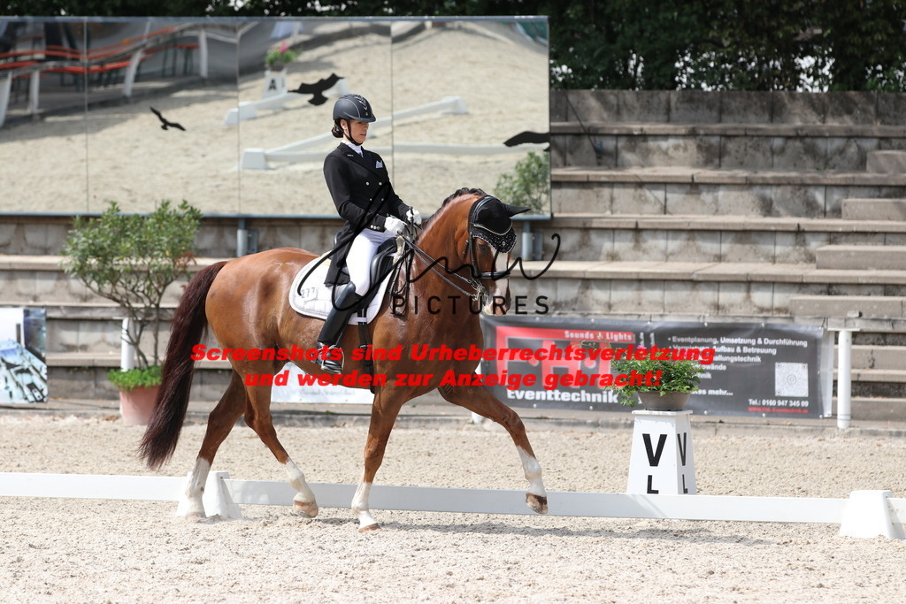 IMG_7099 | lmwpictures - Realisiert mit Pictrs.com