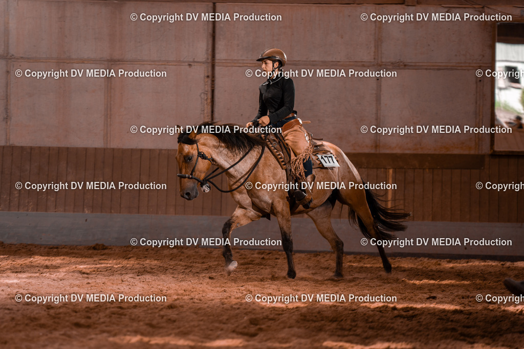 NE200533 | dv-media-shop - Realisiert mit Pictrs.com