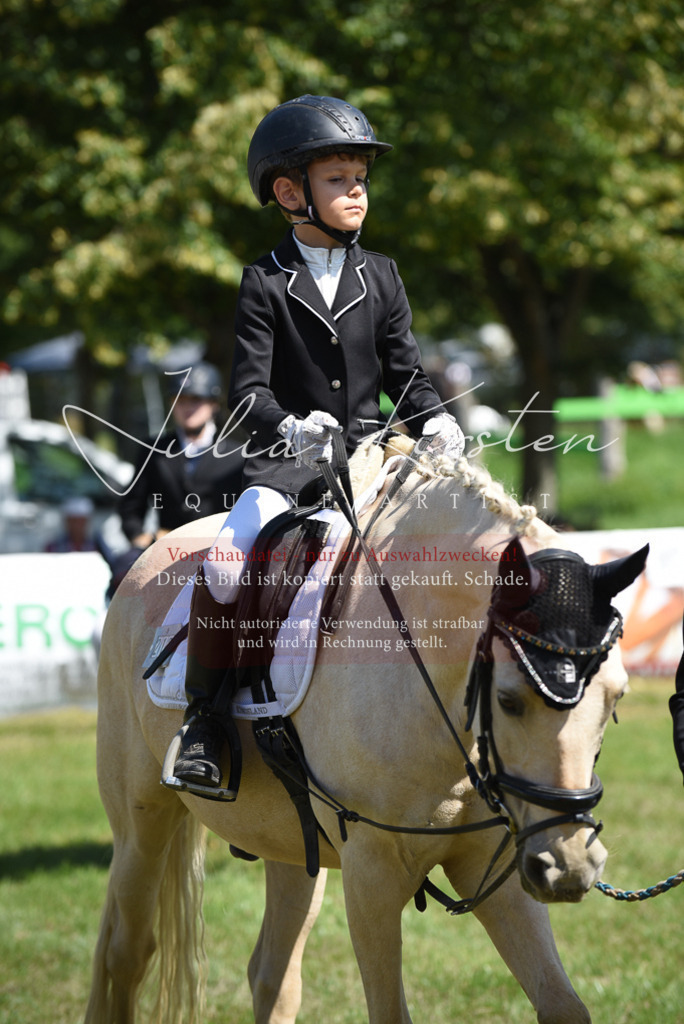 DSC_9666 | Pferde- und Turnierfotografie in Westsachsen. Pferdeportraits, Auftragszeichnungen und intuitive Kunst.