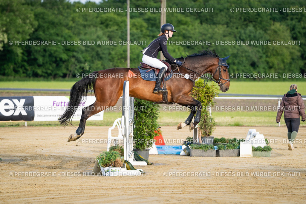 DSC01764 | Pferdegrafie