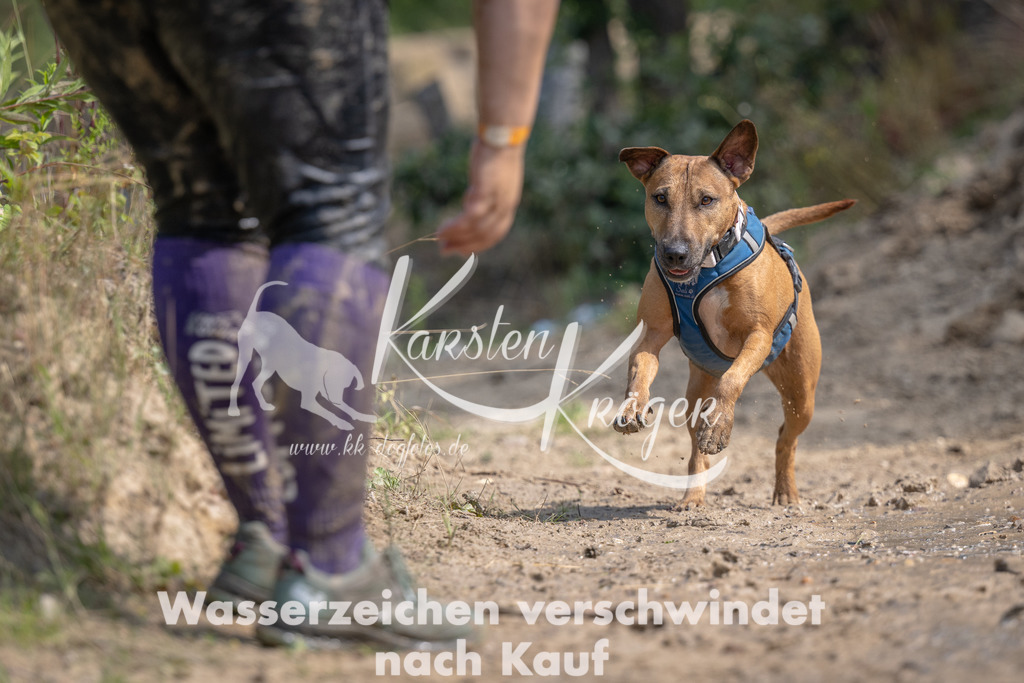 1129_ZZ99932 | kk-dogfotos