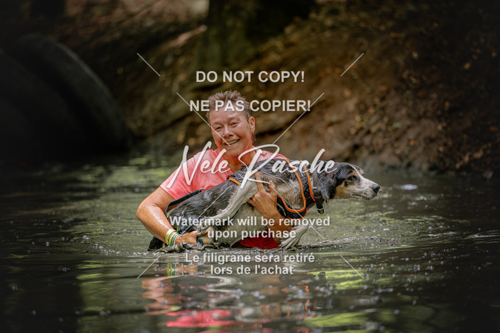 nelerasche_SaWingst1530-1600_235 | nelerasche