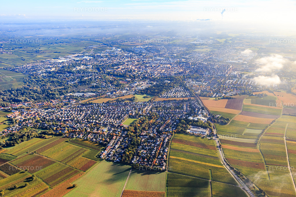Luftbild: Wollmesheimer Straße aus Westen in Landau in der Pfalz im Bundesland Rheinland-Pfalz in Deutschland. Foto: IMG_103771.jpg vom 01.10.2017 durch Werner Riehm/FLY-FOTO.de