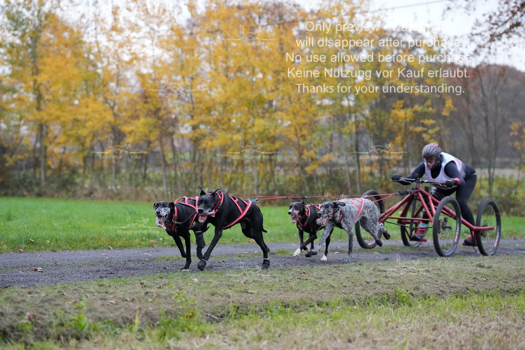 Visbeck_Sa_D4_6-8 | stephaniefillaphotographie - Realisiert mit Pictrs.com