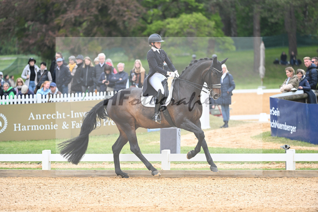 Abbelen_Sam Donnerhall_11232408 | hf-fotografie - Realisiert mit Pictrs.com