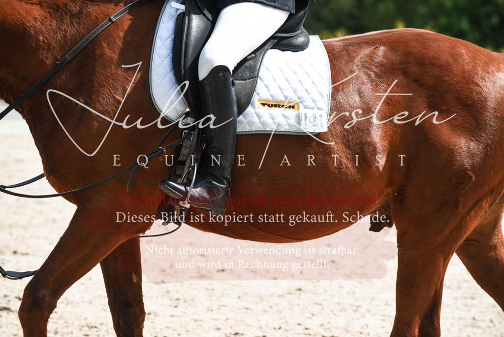 20230518_JK-Röhrsdorf-11-0425 | Pferde- und Turnierfotografie in Westsachsen. Pferdeportraits, Auftragszeichnungen und intuitive Kunst.