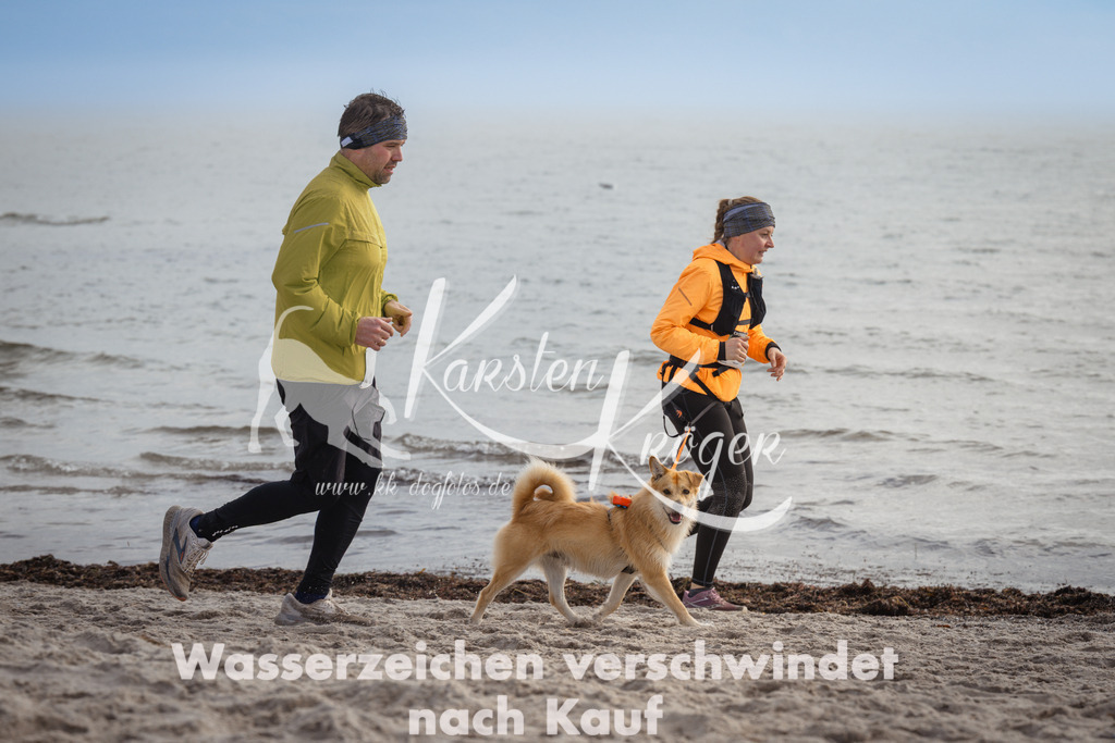 1200_ZZ93298 | kk-dogfotos