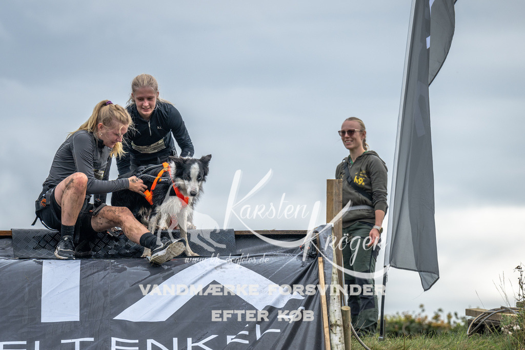 1512_ZZ92035 | kk-dogfotos