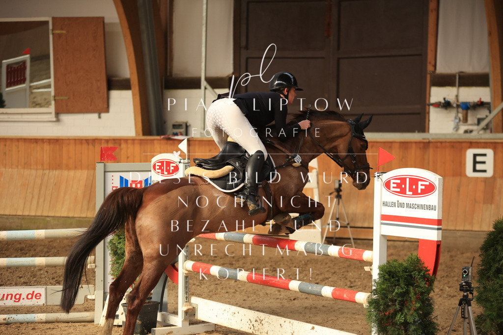 IMGT6226 | pl-fotografie