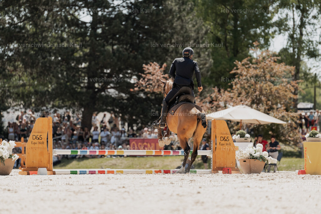 WE_SP_Stoib_311_PI2025_1663 | Pferd International München 2025