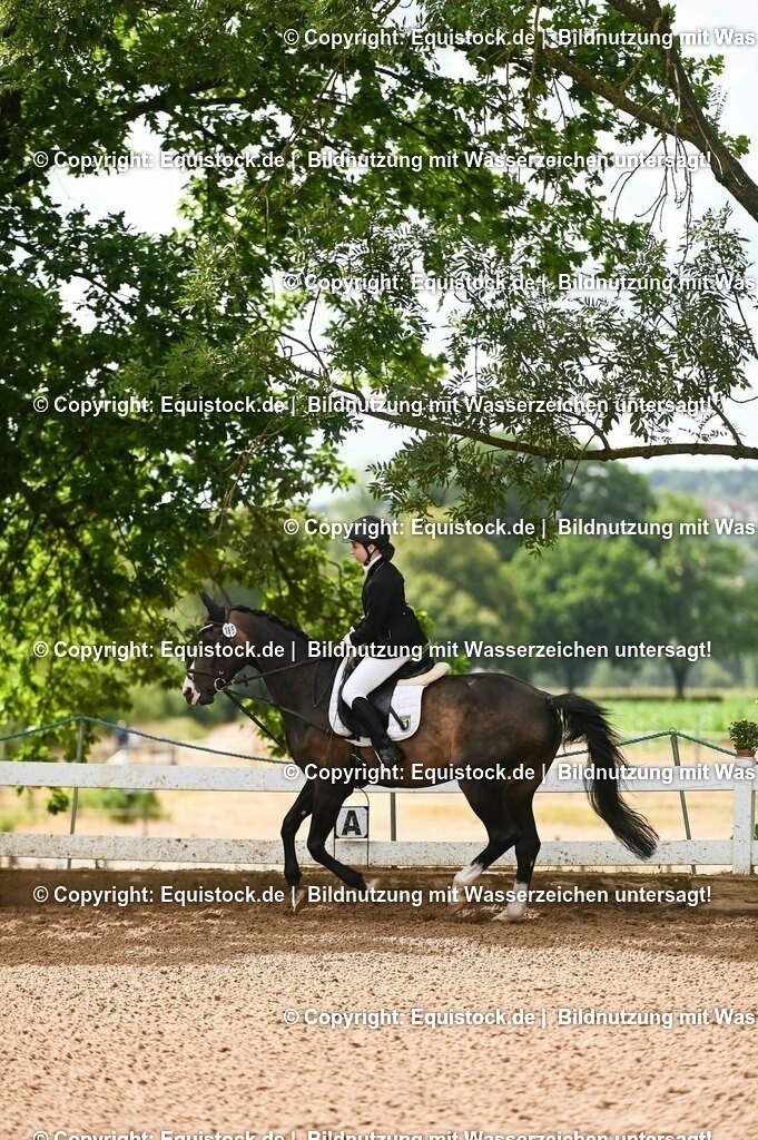 20230716_10-1_Reiter-WB Schritt - Trab - Galopp_0116 | equistock