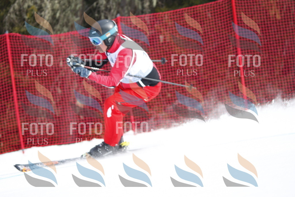 D6441 | holidayphoto