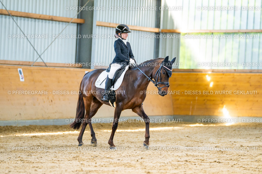 DSC06291 | Pferdegrafie