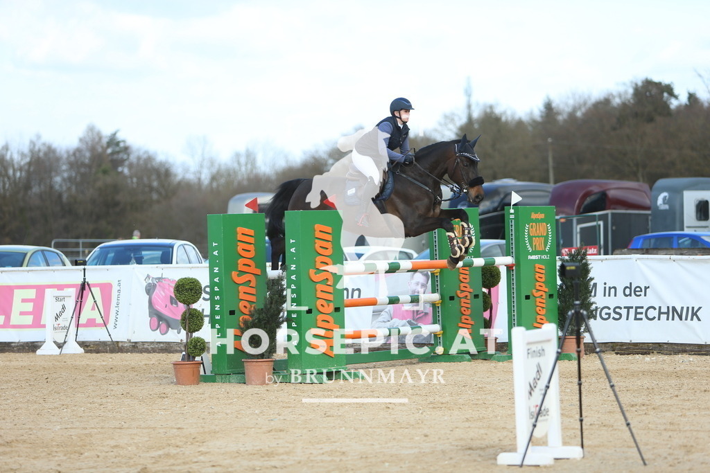 DL2Q0852 | Willkommen bei Brunnmayr - Design & Fotografie – Ihrem Spezialisten für Reitturniere und Pferdeveranstaltungen in Oberösterreich, Salzburg und Bayern! Seit über 17 Jahren sind wir leidenschaftlich dabei.