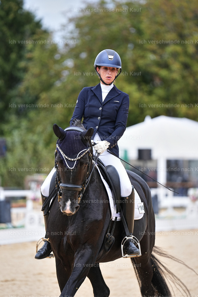 04_1-190-Dressur M__ -Marixx-2774 | working equitationturnier fotograf videograf stoibphotography marixx film working equitation deutschland reitsport turnierfotografie eventfotografie equestrian events