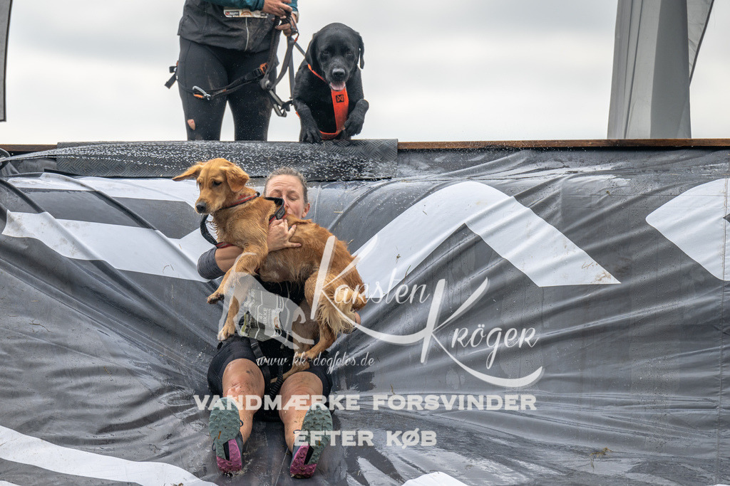 1428_ZZ90464 | kk-dogfotos