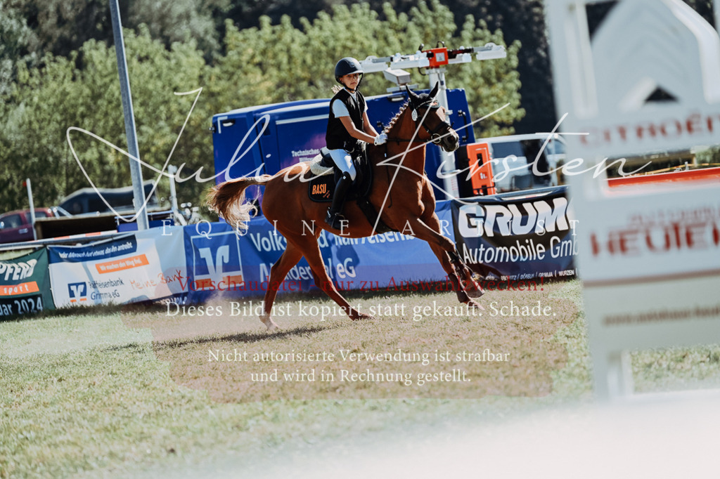 DSC_6855 | Pferde- und Turnierfotografie in Westsachsen. Pferdeportraits, Auftragszeichnungen und intuitive Kunst.