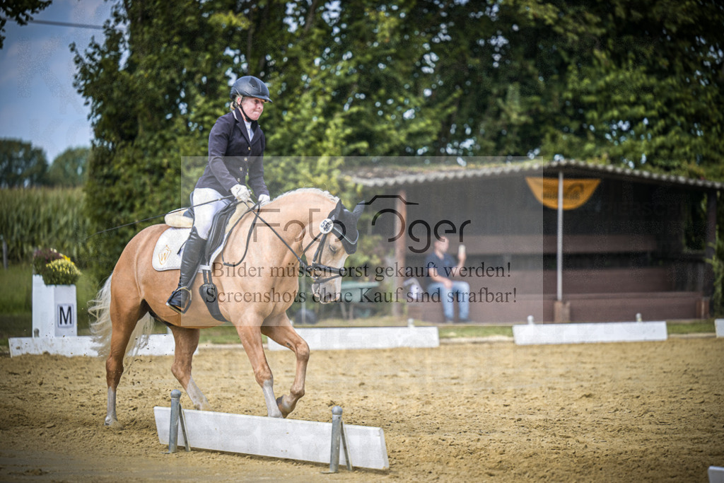 DOS_3992 | Entdecke hochwertige Reitturnierfotos von Foto Oger. Professionell, emotional und authentisch – jetzt Lieblingsmomente im Shop bestellen.Deutschlandweite Turnierfotografie. - Realisiert mit Pictrs.com