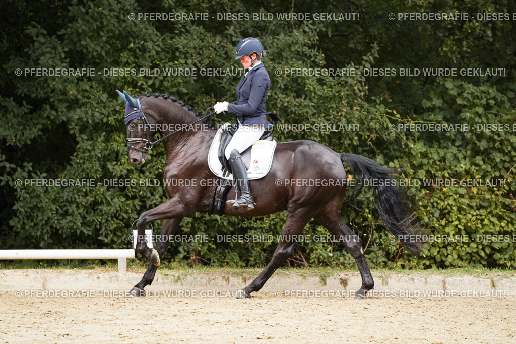 DSC01151 | Pferdegrafie