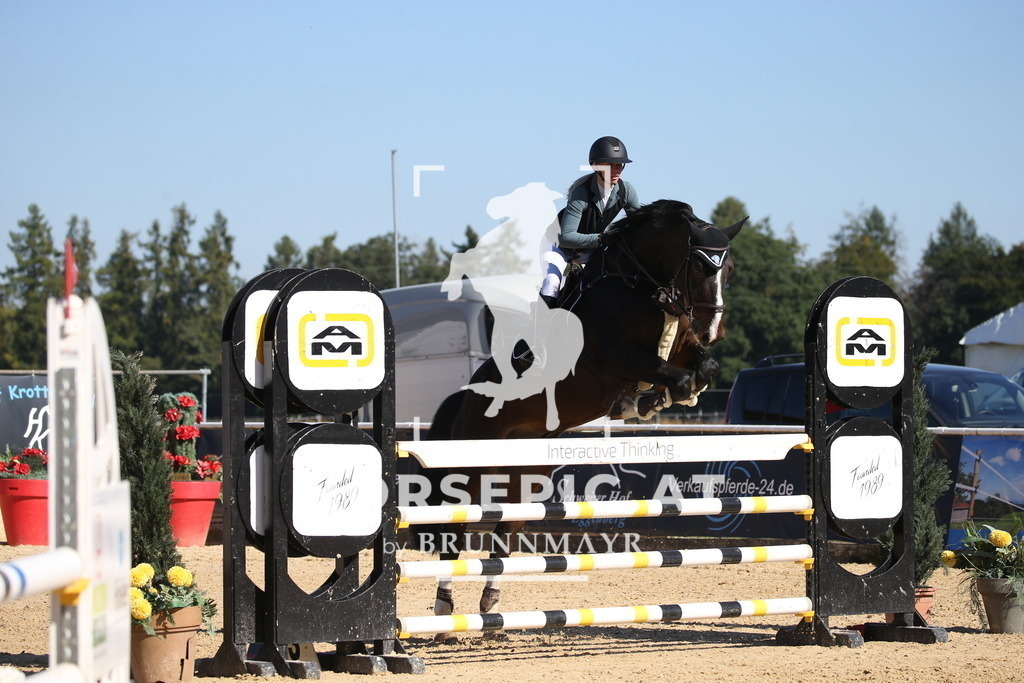 DL2Q2808 | Willkommen bei Brunnmayr - Design & Fotografie – Ihrem Spezialisten für Reitturniere und Pferdeveranstaltungen in Oberösterreich, Salzburg und Bayern! Seit über 17 Jahren sind wir leidenschaftlich dabei.