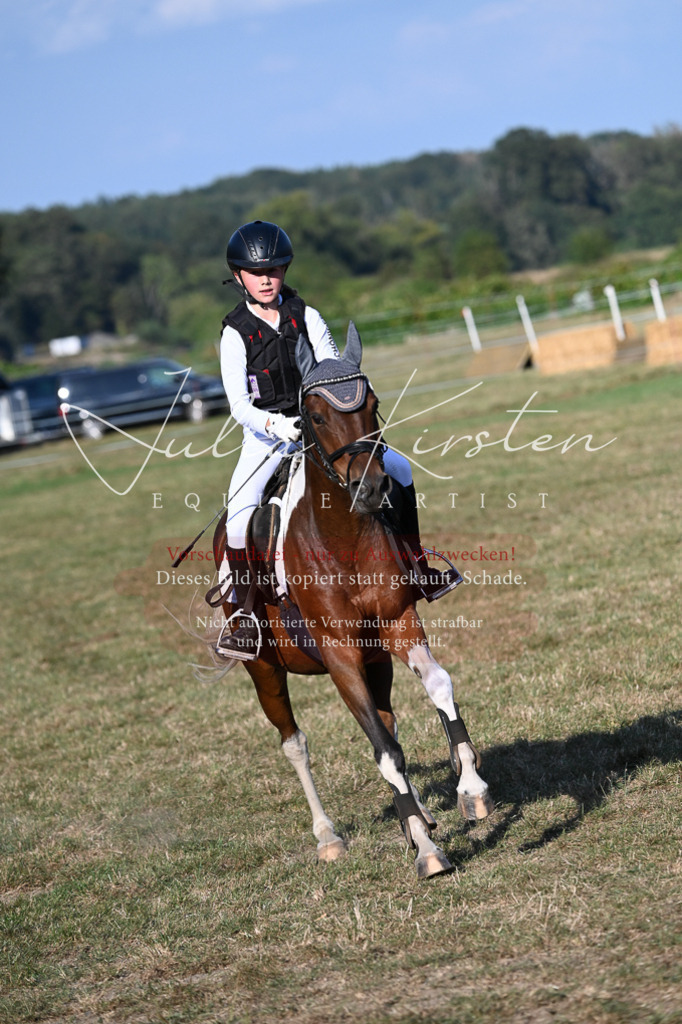 DSC_8993 | Pferde- und Turnierfotografie in Westsachsen. Pferdeportraits, Auftragszeichnungen und intuitive Kunst.