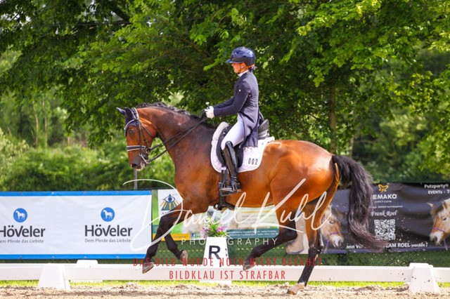 DKP41454 | Deine Turnierfotos vom Reitturnier online kaufen: Dressur, Springen & Siegerehrung. Professionelle Pferdefotografie aus dem Rheinland – als Download & Print.Alternative: Turnierfotograf für den Pferdesport: Finde deine Fotos von Dressur- und Springturnier