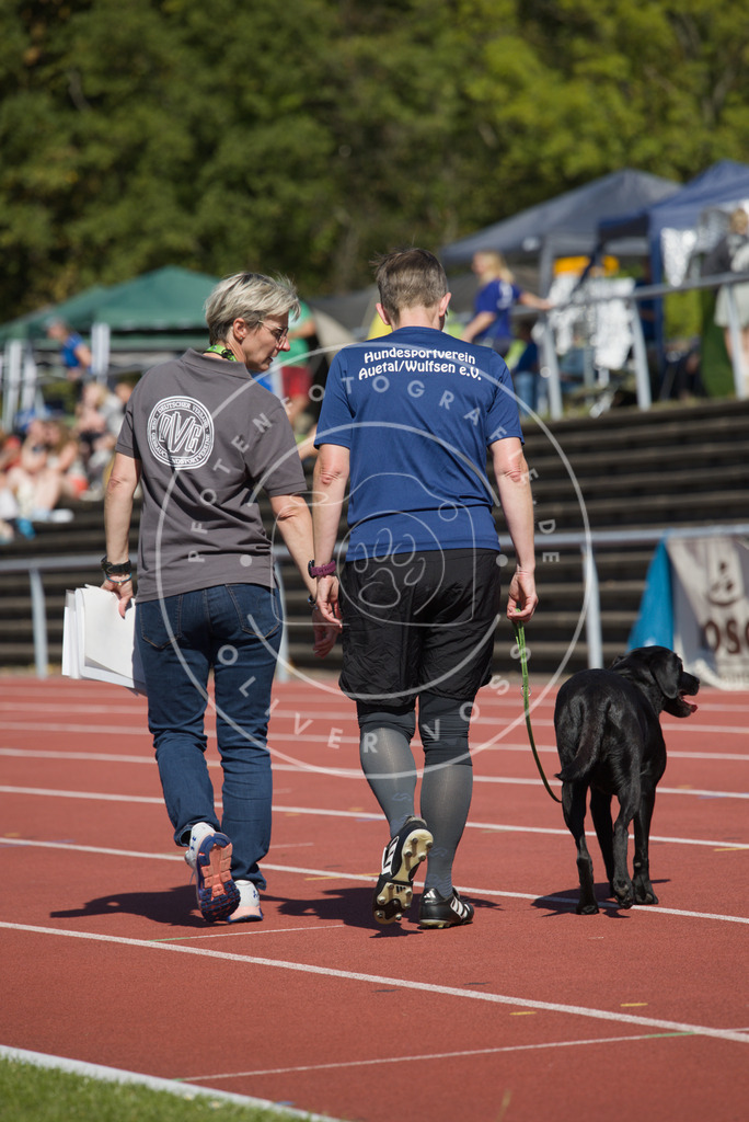 0L8A6649 | Hundefotografie, Tierfotograf, Pfotenfotografie, Fotoshooting Hund, Hunde Portrait, Hundesport, Hundeportraits, Heideshooting, Hunde, Sportfotograf, Hundefotograf, Turnierhundsport, THS,  - Realisiert mit Pictrs.com