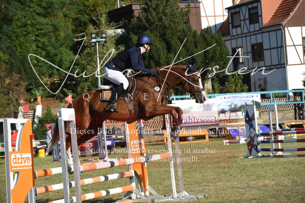 DSC_5159 | Pferde- und Turnierfotografie in Westsachsen. Pferdeportraits, Auftragszeichnungen und intuitive Kunst.
