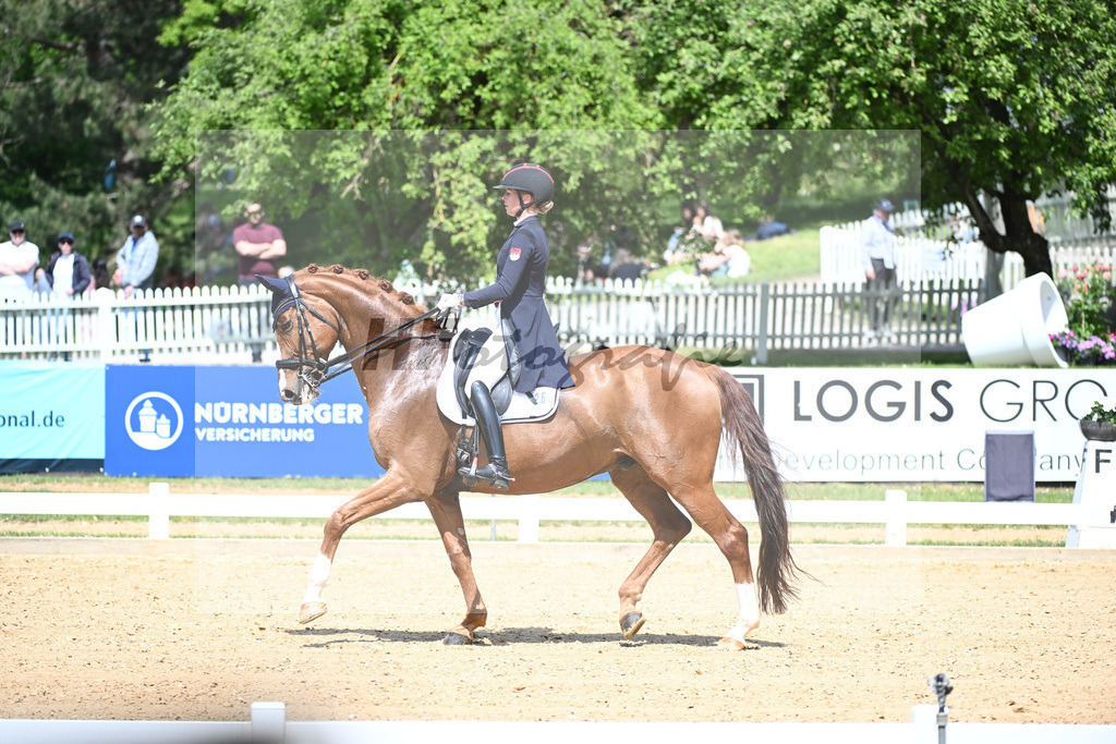 Baer_Superstar_12243742 | hf-fotografie - Realisiert mit Pictrs.com