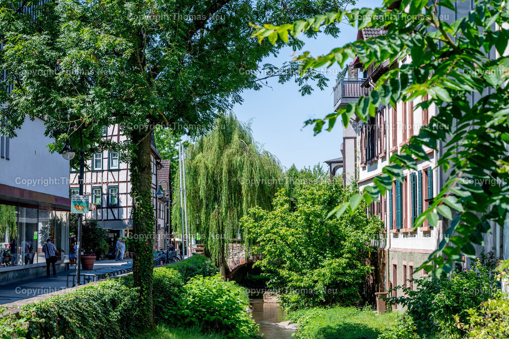 21a_Mittelbrücke_DSC_3866 | , Bensheim, es grünt so grün.-..in der Bensheimer Innenstadt Blick in Richtung Mittelbrücke, ,, Bild: Thomas Neu