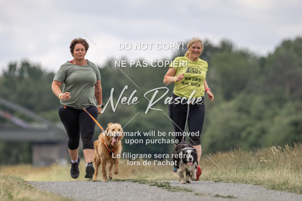 nelerasche_BuHu2026_SaCC1100-1200_250 | nelerasche