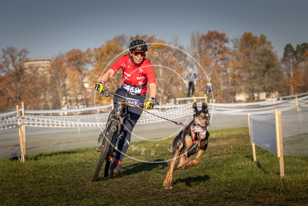 CaniXpix_0L8A4565 | Hundefotografie, Tierfotograf, Pfotenfotografie, Fotoshooting Hund, Hunde Portrait, Hundesport, Hundeportraits, Heideshooting, Hunde, Sportfotograf, Hundefotograf, Turnierhundsport, THS,  - Realisiert mit Pictrs.com