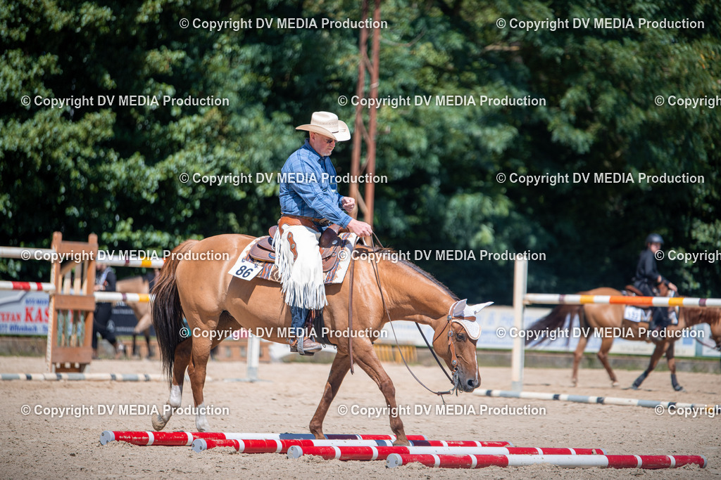 ZS1_1404 | dv-media-shop - Realisiert mit Pictrs.com