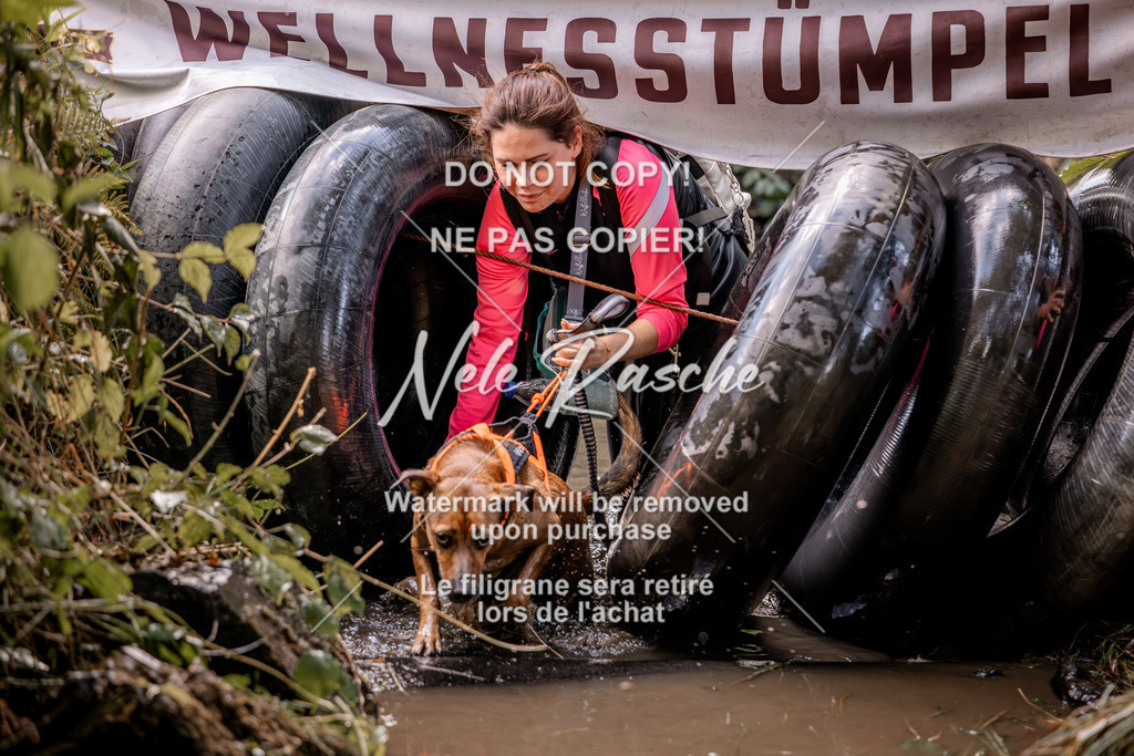nelerasche_Hunsrück2026_Sa1400-1500_202 | nelerasche