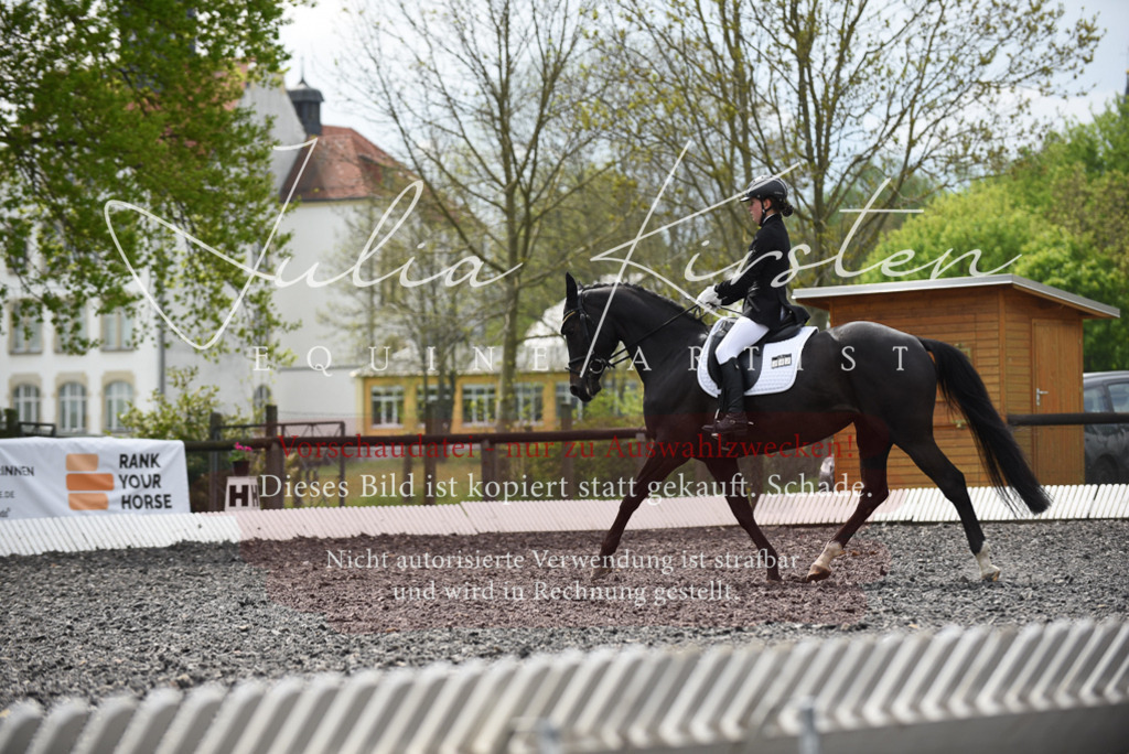 20230513_JK-Röhrsdorf-16-001 | Pferde- und Turnierfotografie in Westsachsen. Pferdeportraits, Auftragszeichnungen und intuitive Kunst.