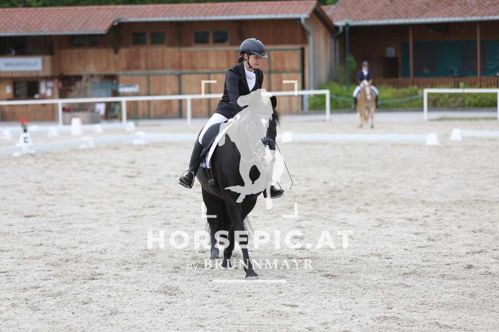 0P6A1310 | Willkommen bei Brunnmayr - Design & Fotografie – Ihrem Spezialisten für Reitturniere und Pferdeveranstaltungen in Oberösterreich, Salzburg und Bayern! Seit über 17 Jahren sind wir leidenschaftlich dabei.