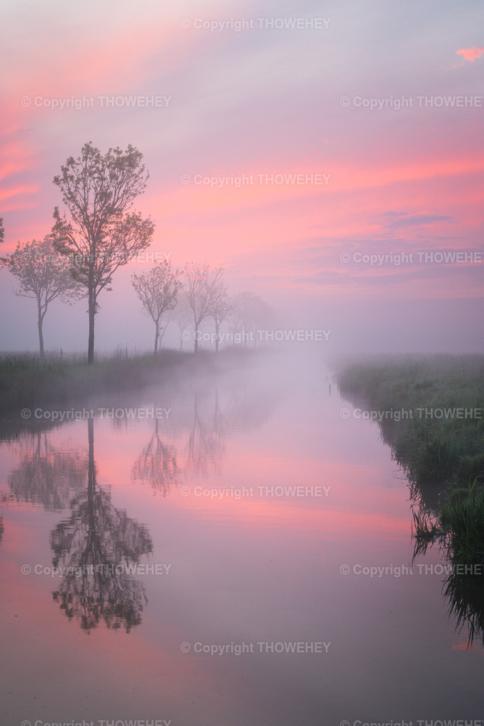 _1035697 | thowehey - Realisiert mit Pictrs.com