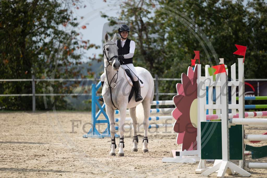 994A1966 | sabrinanicolaifotografie - Realisiert mit Pictrs.com