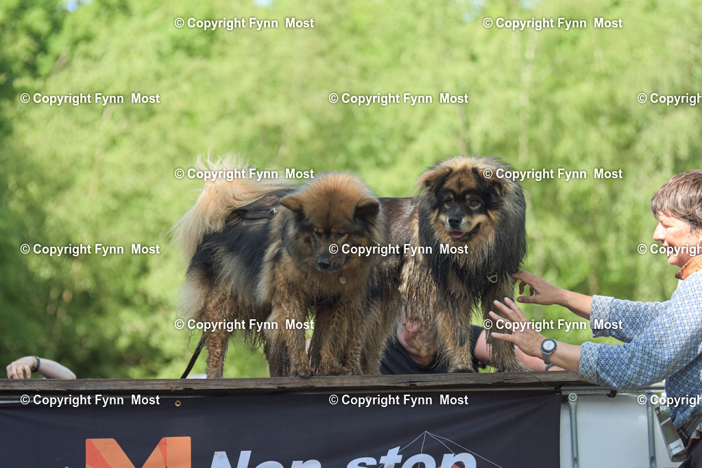 DSC_0057 | Hallo und herzlich Willkommen auf meiner Shop-Seite Fynn Most.

Ich wünsche Dir viel Spaß beim stöbern durch die Bilder, wenn Du Fragen hast oder Bilder vermisst, kannst du mir gerne eine Nachricht schreiben. - Realisiert mit Pictrs.com