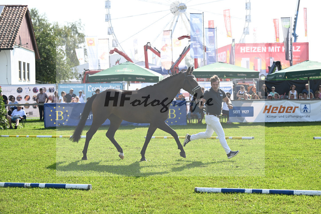 Kat-Nr. 8 Donaus Zupermaus_Pollich_34240238 | hf-fotografie - Realisiert mit Pictrs.com