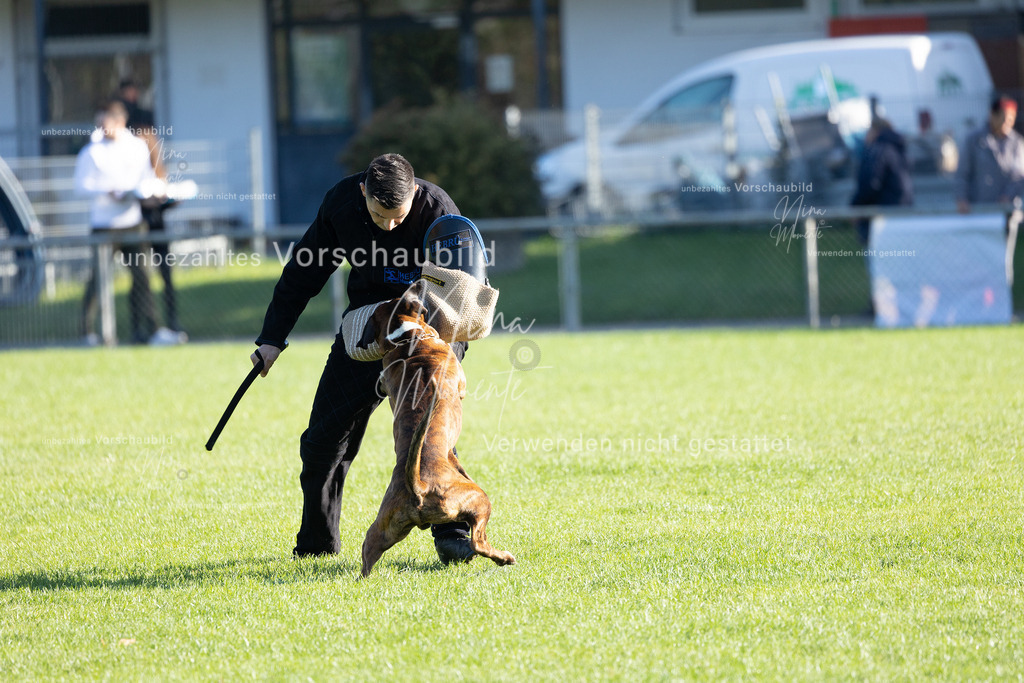 _16A5020 | Einzigartige Fotos von Hunden & Menschen –Actionfotos, Portraits, Vereinsaufnahmen & Paarshootings – authentisch, lebendig & mit Herz.