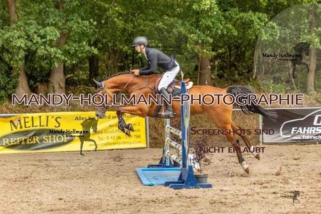 26-8-7 SPR A++-453 | mandyhollmannphotographie