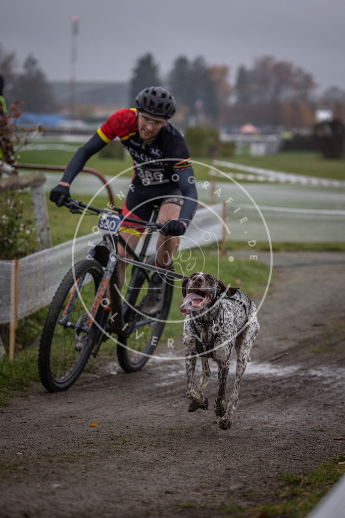 CaniXpix_0L8A1185 | Hundefotografie, Tierfotograf, Pfotenfotografie, Fotoshooting Hund, Hunde Portrait, Hundesport, Hundeportraits, Heideshooting, Hunde, Sportfotograf, Hundefotograf, Turnierhundsport, THS,  - Realisiert mit Pictrs.com